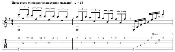 The turn is in blossom (for fingerstyle guitar)