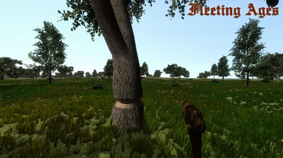 Fleeting Ages STEAM KEY REGION FREE GLOBAL