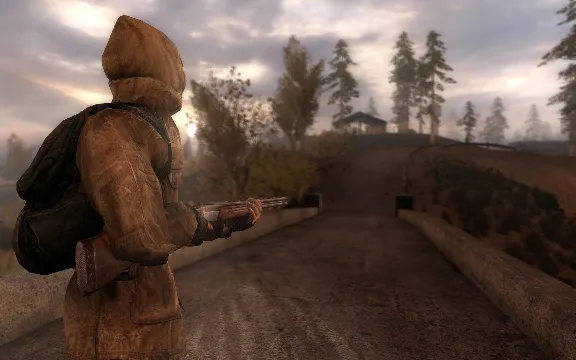 STALKER: CALL OF PRIPYAT (GOG KEY / REGION FREE)