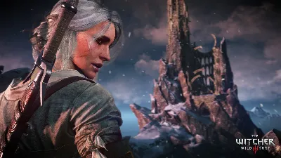 Ведьмак 3: Дикая охота The Witcher 3: Wild Hunt GOG.COM