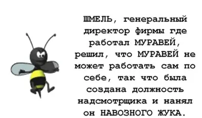 It is vital office stories about ants