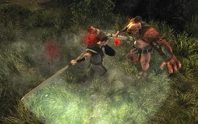 Risen (STEAM GIFT RU/CIS)