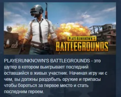 PLAYERUNKNOWN&acute;S BATTLEGROUNDS STEAM GIFT RU +ПОДАРОК