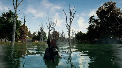 PLAYERUNKNOWN&acute;S BATTLEGROUNDS STEAM GIFT RU +ПОДАРОК