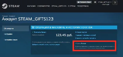 RISE OF THE TOMB RAIDER: 20 YEAR CELEBR (STEAM РОССИЯ)