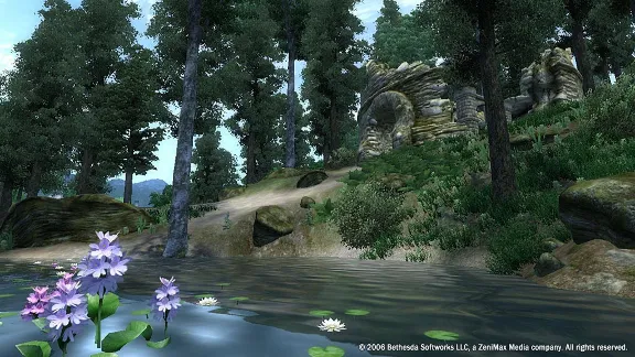 The Elder Scrolls IV Oblivion GOTY /Deluxe STEAM GLOBAL