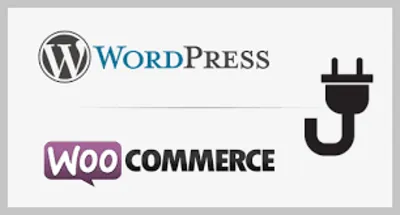 Оплата частями" Приватбанка для WooCommerce WP v3.x
