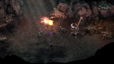 Pillars of Eternity Hero Edition (steam key)