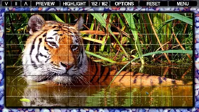 Pixel Puzzles Mosaics (steam key) -- RU