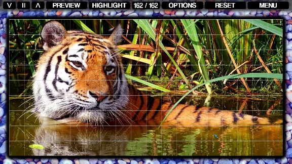 Pixel Puzzles Mosaics (steam key) -- RU