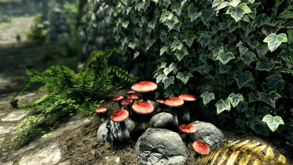 The Elder Scrolls V Skyrim Special Edition Steam