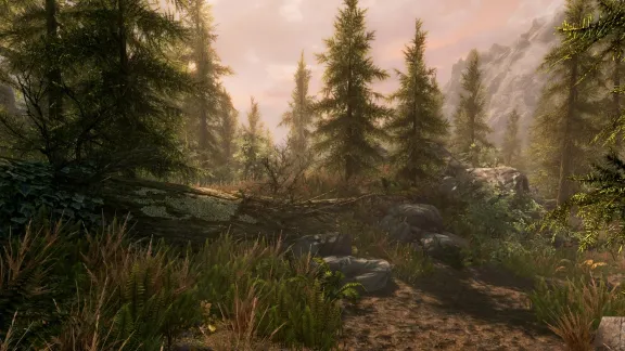 The Elder Scrolls V Skyrim Special Edition Steam