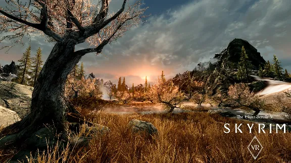 The Elder Scrolls V Skyrim VR (steam key)