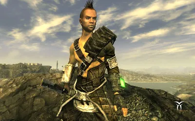 Fallout New Vegas Couriers Stash (steam key)