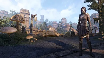TES Online: Tamriel Unlimited + Morrowind (Region Free)