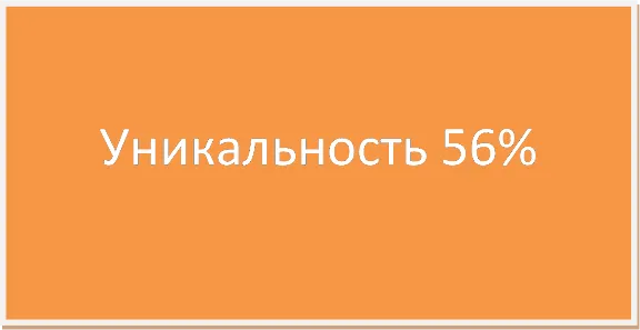 Курсовая Анализ маркетинговой деятельности 56%