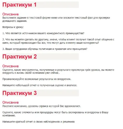 Бизнес-практикум Синергия (Первоклассный сервис)