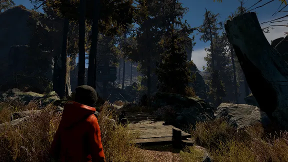 Through the Woods (Steam cd-key RU)