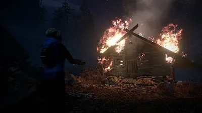 Through the Woods (Steam cd-key RU)