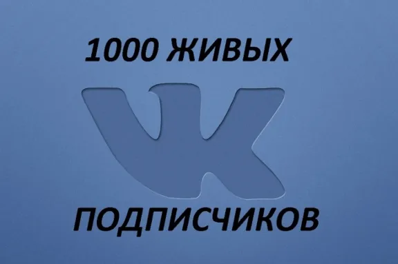 250 живых подписчиков Вконтакте без отписок+лайки❤️