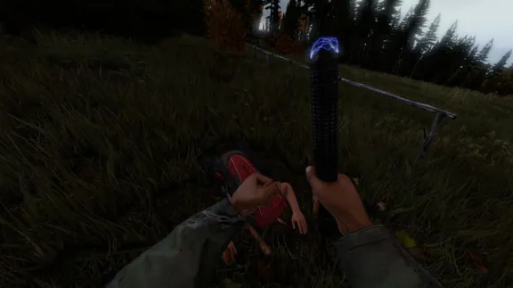 DayZ * RU/KZ/CIS/TR/AR * STEAM 🚀 AUTO DELIVERY