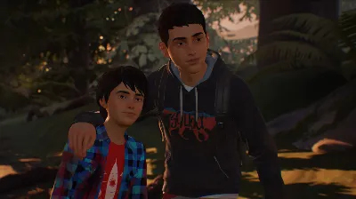 Life is Strange 2 Episode 1 (steam key)