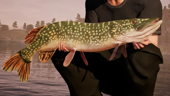 Fishing Sim World Deluxe Edition (steam key)