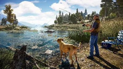 Far Cry 5 (Uplay key) @ RU