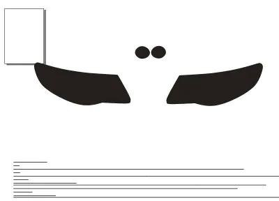 Avtovykroyka protect headlights Volkswagen Touareg 2008