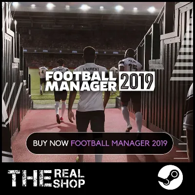 FOOTBALL MANAGER 2019 | ОФФЛАЙН АКТИВАЦИЯ | STEAM ✅