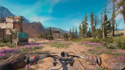 Far Cry New Dawn (Russia)