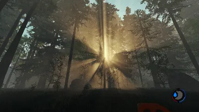 The Forest (Россия)
