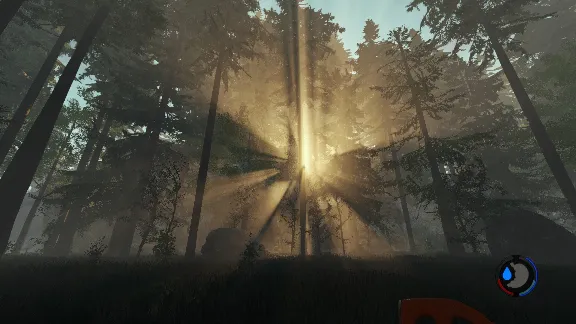 The Forest (Россия)