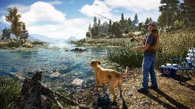 Far Cry 5 Standart Edition (Steam Gift RU/VPN)