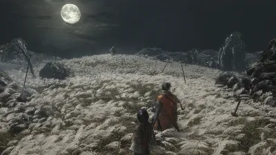 Sekiro™: Shadows Die Twice (Steam РОССИЯ/Беларусь)