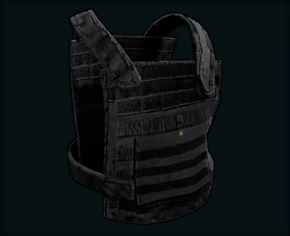 Rust | Random skin in Rast | Best Random | Silver