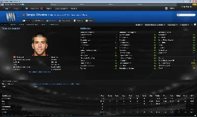 Football Manager 2011 Steam (Steam KEY / Region free )