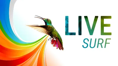 10000 посещений из системы LiveSurf + БОНУС