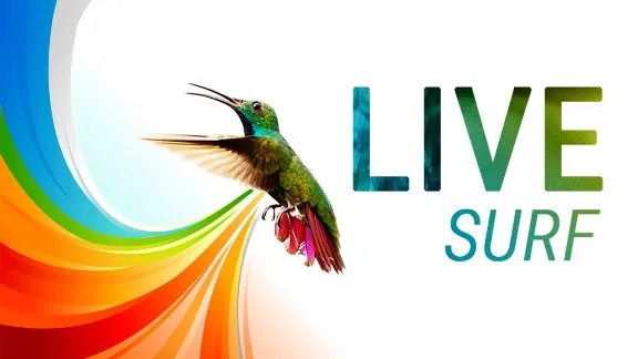 10000 посещений из системы LiveSurf + БОНУС