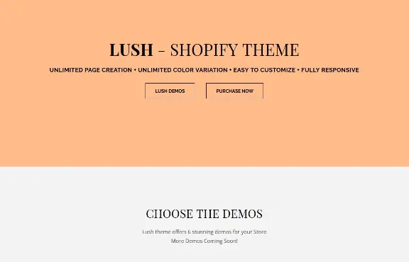 ТОП 5 Премиум шаблонов для Shopify 2019