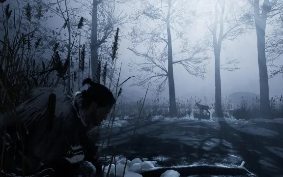 Fade to Silence (Steam/ Весь Мир)