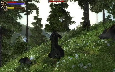 Two Worlds II - Game Of The Year Velvet Edition @ RU
