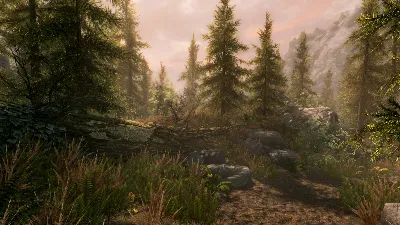 The Elder Scrolls V Skyrim Special Edition Steam @ RU