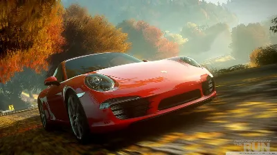 Need for Speed The Run Limited Edition (Гарантия)