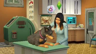 The Sims 4 + DLC - Cats & Dogs (RUS/ENG) (Warranty)