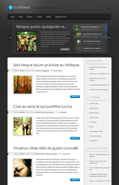 Premium Wordpress theme by ElegantThemes