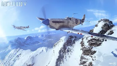 Battlefield V (ENG) (Origin) (Reg. Free | Warranty)