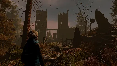 Through the Woods Steam Key (Region Free)