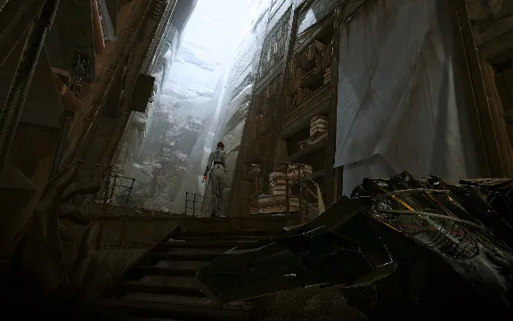 Dishonored: Death of the Outsider (Steam key) -- RU