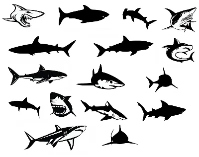 Shark svg,cut files,silhouette clipart,vinyl files,vect